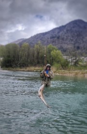 Fish jumping out of the water